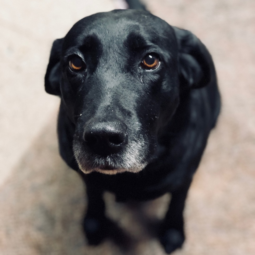 Meet your Posher, Andrew